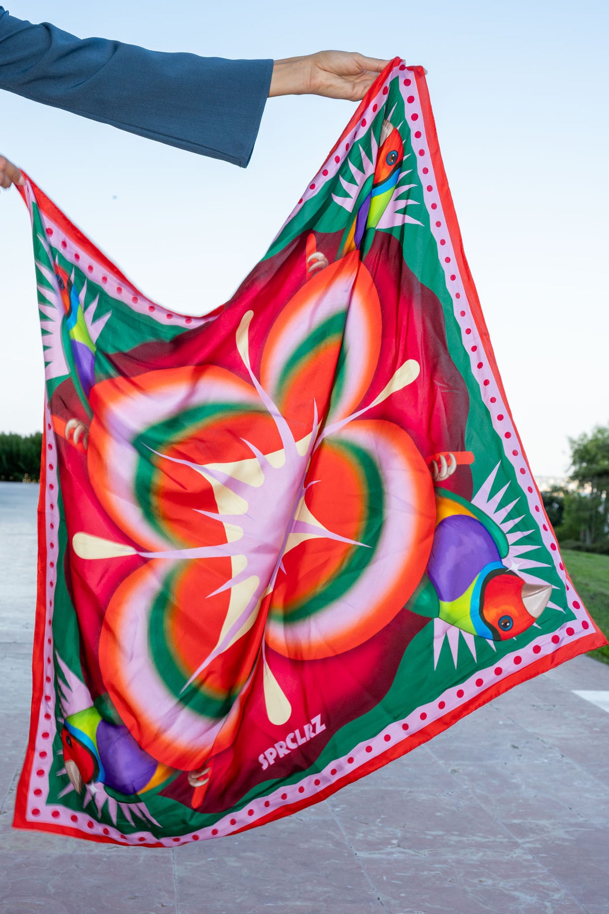 Burst Silk Scarf with Finch in Red & Purple