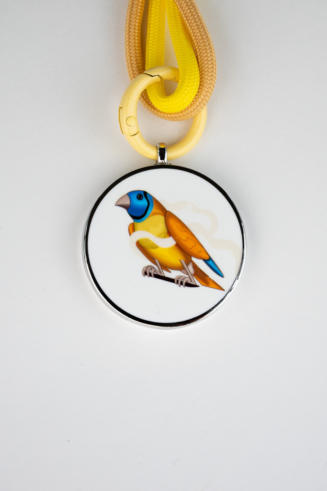 #color_yellow finch